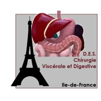 DES Chirurgie Viscérale et Digestive logo - Similar company to Greccar