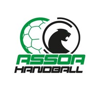 ASSOA Handball logo - Similar company to Handball Club Briec