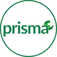 PrismaPlus GmbH logo - Similar company to Medx-Spineconcept