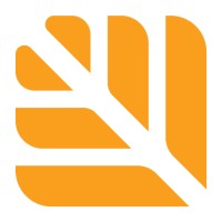 Netready MLM Software logo - Similar company to Studio Brandit