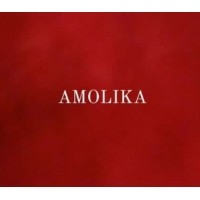 AMOLIKA logo - Similar company to Kitespline Builders And Developers