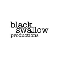 Black Swallow Productions logo - Similar company to Power Placements