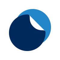 Napoli Shkolnik logo - Similar company to Bronson