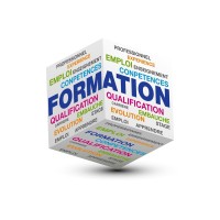 Formateur professionnel logo - Similar company to Permis De Conduire