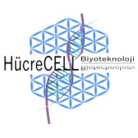 HücreCELL® Biotechnology, Inc. logo - Similar company to Matriks Biotechnology Co.