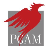 PhenixCAM AG logo - Similar company to Trajectoire Capital Group