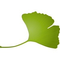 Blattform Wetzlar logo - Similar company to Sprintteam ® Wetzlar