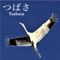 つばさ | Tsubasa