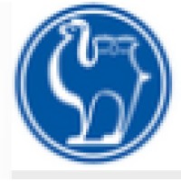 Camel Group Co., Ltd. logo - Similar company to Auditlint