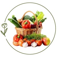 Healthy Fresh logo - Similar company to Coco Thunder
