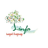 linfa logo - Similar company to Kevala