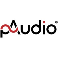 pAudio Technologies Sp. z o.o. logo - Similar company to Scion Tech Ltd