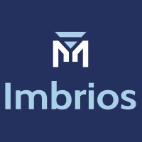 Imbrios Systems logo - Similar company to Agnile Technologies