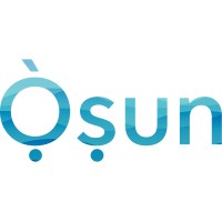 Osun Group logo - Similar company to Allynow