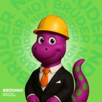 Brüder NDT oficial logo - Similar company to Vector Ndt
