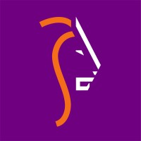 Simba Creative logo - Similar company to Big Screen Dreams Collective
