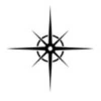NorthStar CEO Advisory logo - Similar company to Grey Slide Imaging