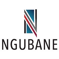 Ngubane logo - Similar company to Wildner Incorporated
