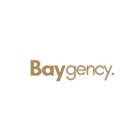 Baygency logo - Similar company to Innovaprax Gmbh