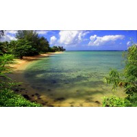 Ytope 99 Sl - Tecnología Para Organizadores Profesionales De Eventos