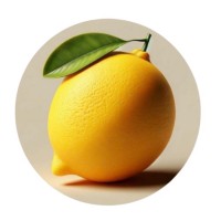 Agência Limão ou Limonada logo - Similar company to Condox