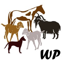 Wild Places Animal Rescue logo - Similar company to Rarec - Rainforest Awareness Rescue And Education Center
