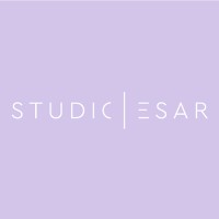 Studio Esar logo - Similar company to Studio Tuntun