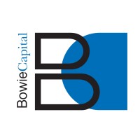 Bowie Capital logo - Similar company to Adminiserv Limited