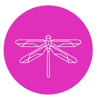 El-E-Vate Coaching