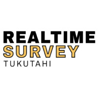 REALTIME SURVEY Ltd logo - Similar company to Mappd