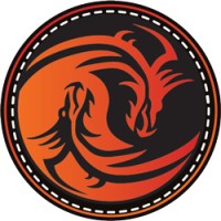 Dragon Consulting (Pty) Ltd logo - Similar company to Deanswanepoel.Com
