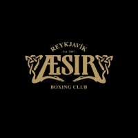 ÆSIR Boxing Club logo - Similar company to 5 Elements Studio