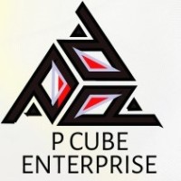 P - Cube Enterprise logo - Similar company to Total Sourcing Solutions
