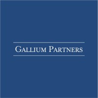 Gallium Partners logo - Similar company to Espace Surveillance
