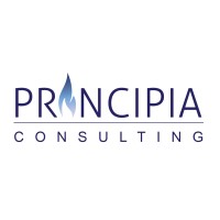 Principia-Consulting logo - Similar company to Stumath