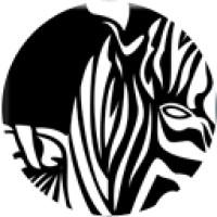 Zebrafi logo - Similar company to Hola Daisy