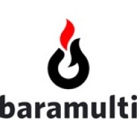 Baramulti Group logo - Similar company to Icongreen