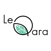 Le Qara logo - Similar company to Qara Studios