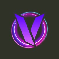 Velztorm logo - Similar company to Vision Computers, Inc.