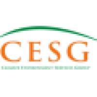 Cesg - Shanghai
