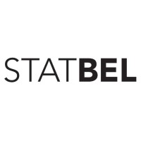 Statbel (Directorate-general Statistics - Statistics Belgium) logo - Similar company to Hungarian Central Statistical Office