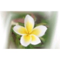 Synergia Business Services Ltd