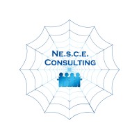 Ne.S.C.E. Consulting