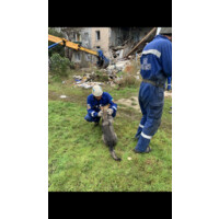 Firefighter Rescue Network, Inc. logo - Similar company to Firefighter Near Miss Reporting System