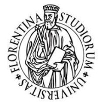 M.Sc. in Finance and Risk Management (FiRM), University of Florence logo - Similar company to Opi Frutta