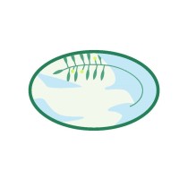 Centre for Reproductive Loss logo - Similar company to International Center For Sexual Reproductive Rights Increse