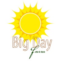 Big Day