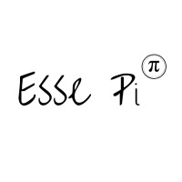 Esse Pi Pte Ltd logo - Similar company to Informatica Esse