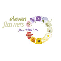 Eleven Floawers Foundation logo - Similar company to Noaber