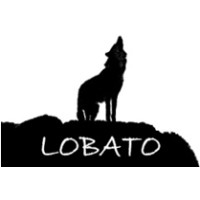Lobato Representação e Consultoria logo - Similar company to Fl Representação E Assessoria